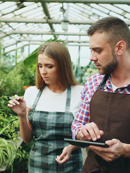 Attractive man and woman count flowers using tablet computer during working in the greenhouse
